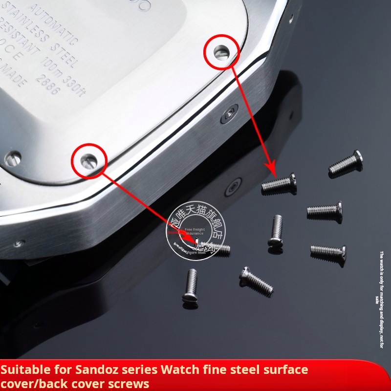 แท่งสแตนเลสสตีลสกรูสำหรับคาร์เ - Cartier Watch Santos บทวิจารณ์และราคา